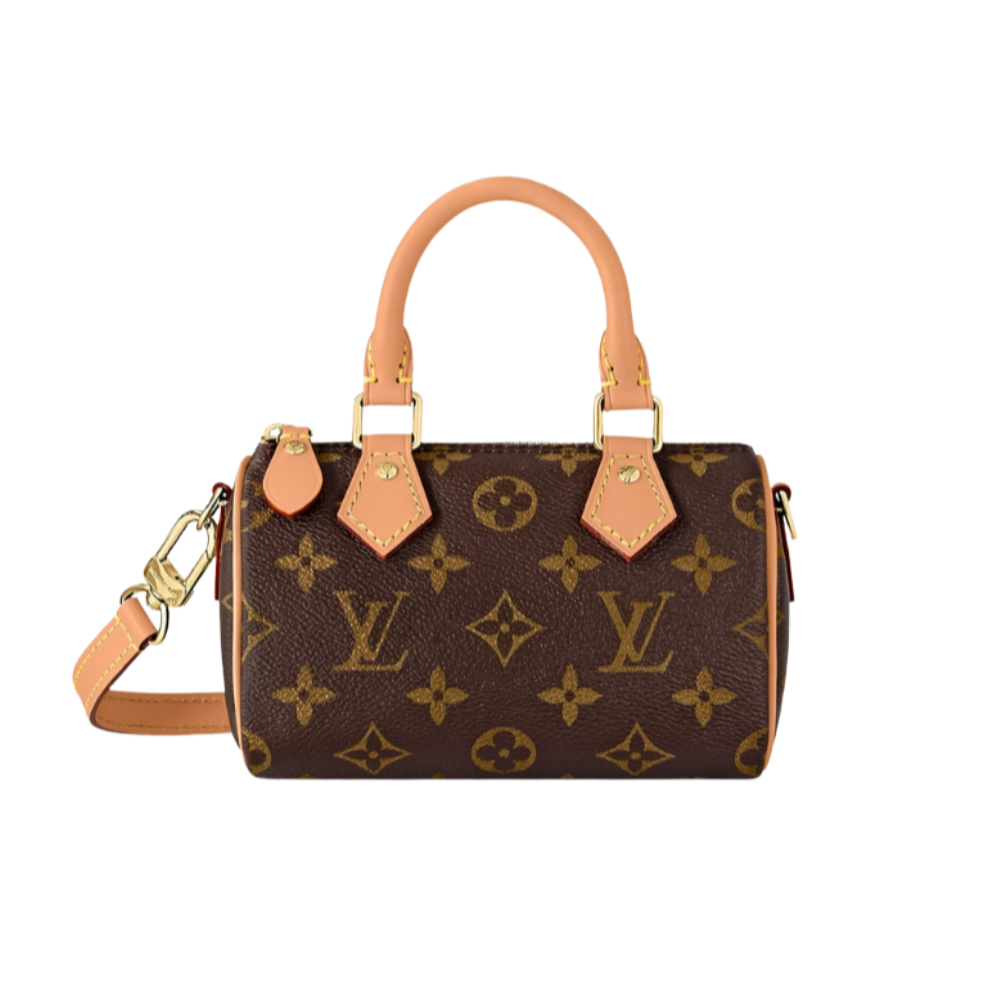 LV Speedy Nano Bag